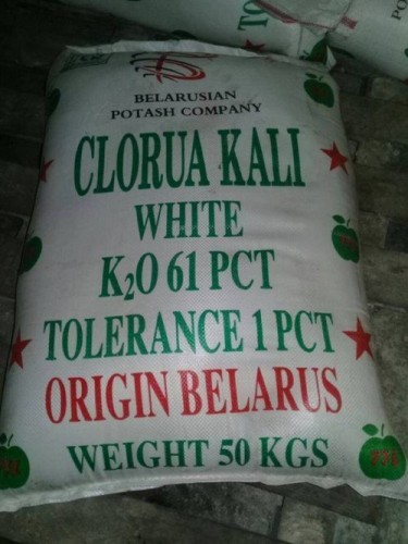 Muối KCL – Kali Clorua – Potassium Chloride