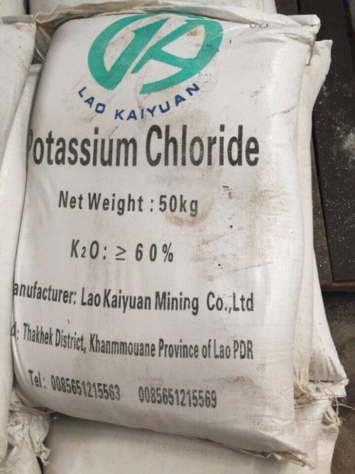 Muối KCL – Kali Clorua – Potassium Chloride